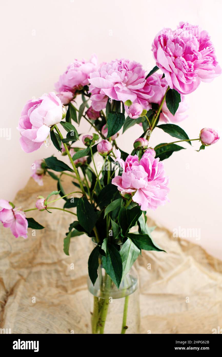 Ramo esponjoso de flores de peonías rosas bajo la luz del sol sobre fondo  de papel de artesanía arrugado, día de San Valentín y fondo de día de la  mujer Fotografía de