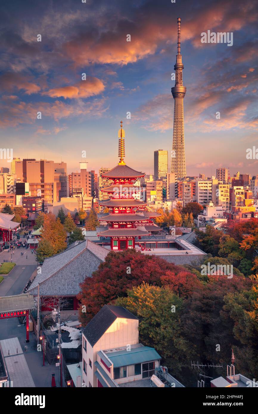 Tokio, Japón. Imagen del paisaje urbano de Tokio, Japón, con el templo Asakusa al atardecer de otoño. Foto de stock