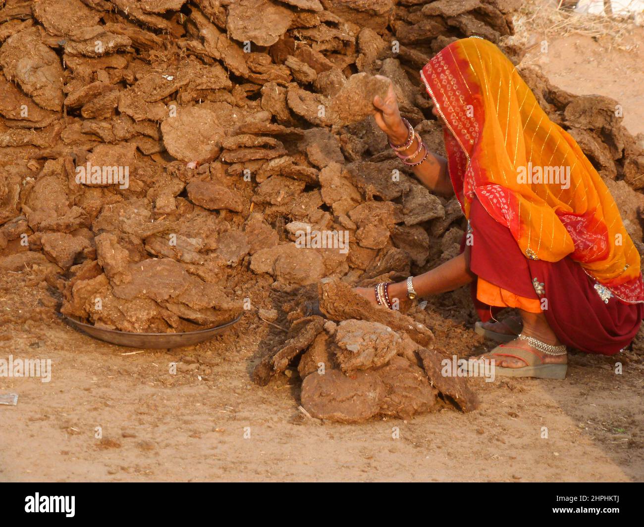 Recolección de estiércol en camelfair en Pushkar, Rajasthan, India Foto de stock