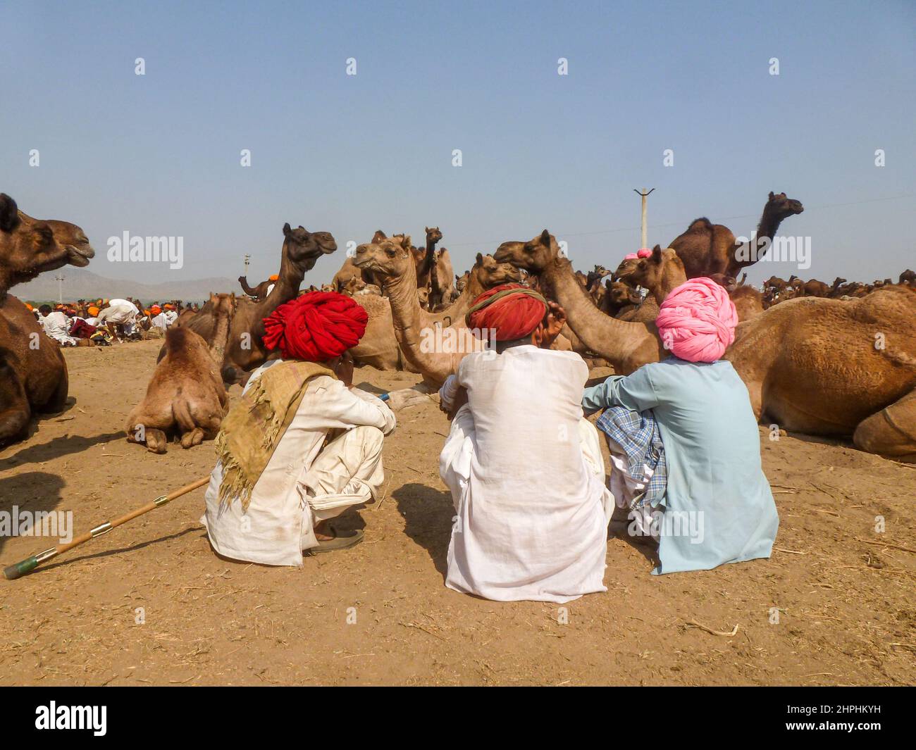 Feria de camellos en Pushkar, Rajastan, India Foto de stock