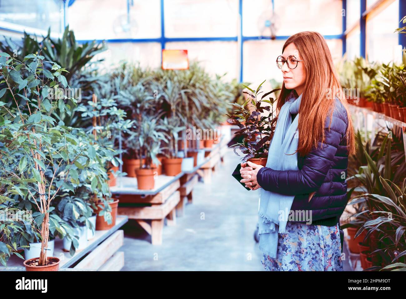 Mujer de compras de flores en macetas en un mercado de jardinería Foto de stock