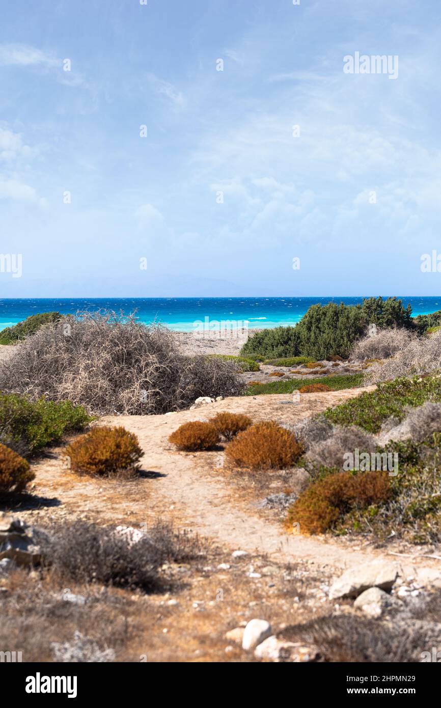 Playa salvaje vacía en la costa del Egeo con coloridos arbustos en primer plano. Paisaje marino espacial inusual Foto de stock