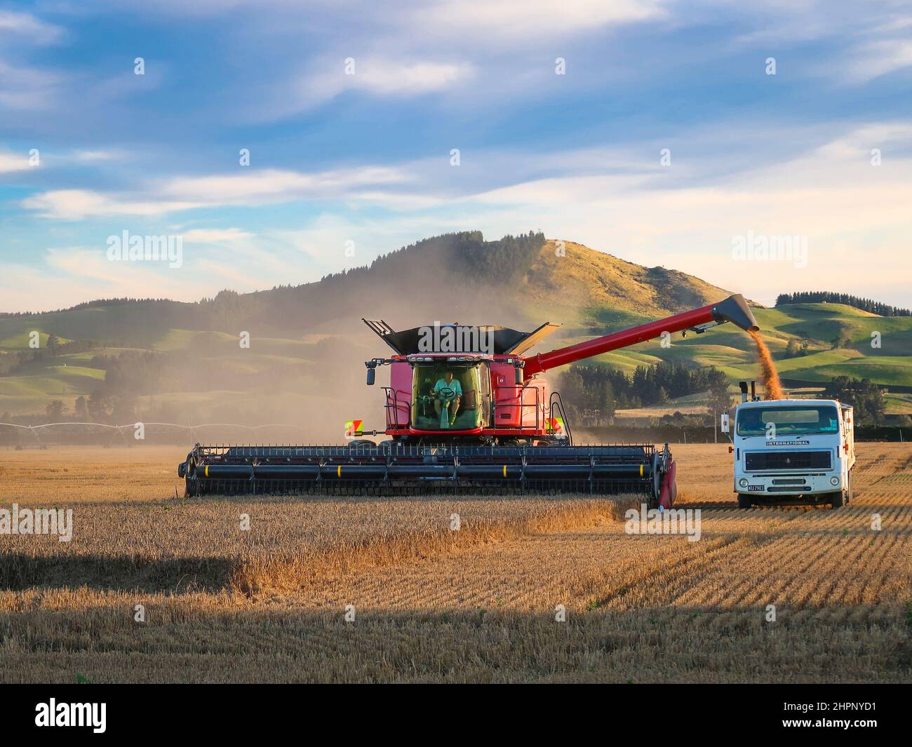 Sheffield, Canterbury, Nueva Zelanda, febrero de 18 2022: Una gran cosechadora moderna de cajas con nueva tecnología automatizada, en el trabajo de cosecha de cebada Foto de stock
