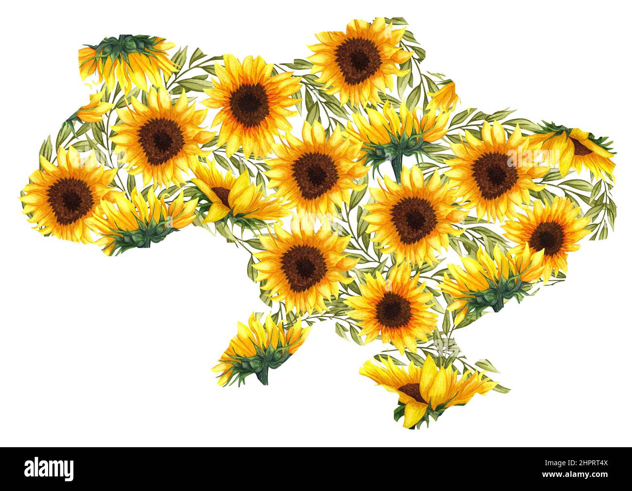 Ucrania Mapa con diseño de flores realista. Acuarela Girasol frontera  ucraniana Fotografía de stock - Alamy