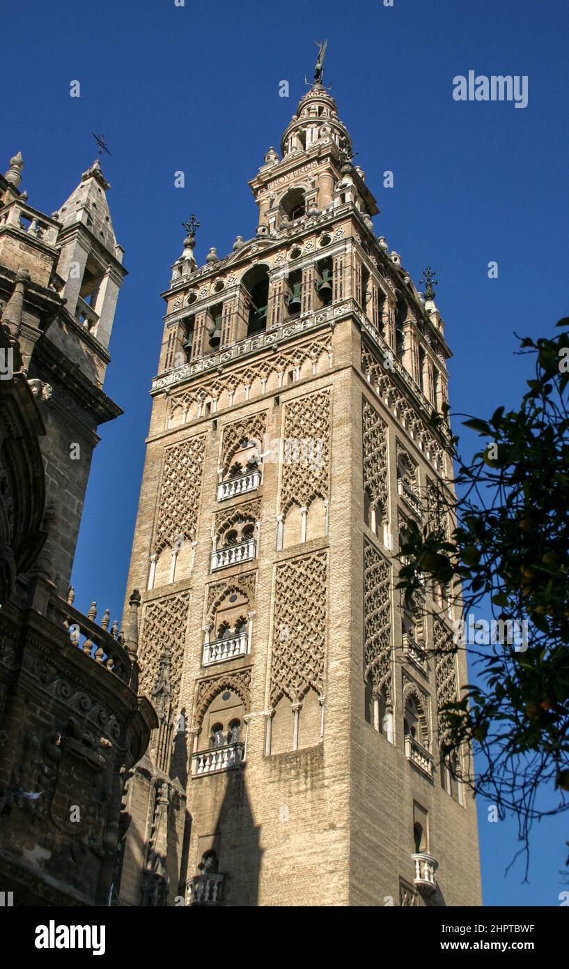 Limoneros y la Giralda: La Giralda, originalmente un minarete, se convirtió en un campanario. Está coronada con una estatua que representa a la Fe. La Giralda es el símbolo más famoso de la ciudad. Foto de stock