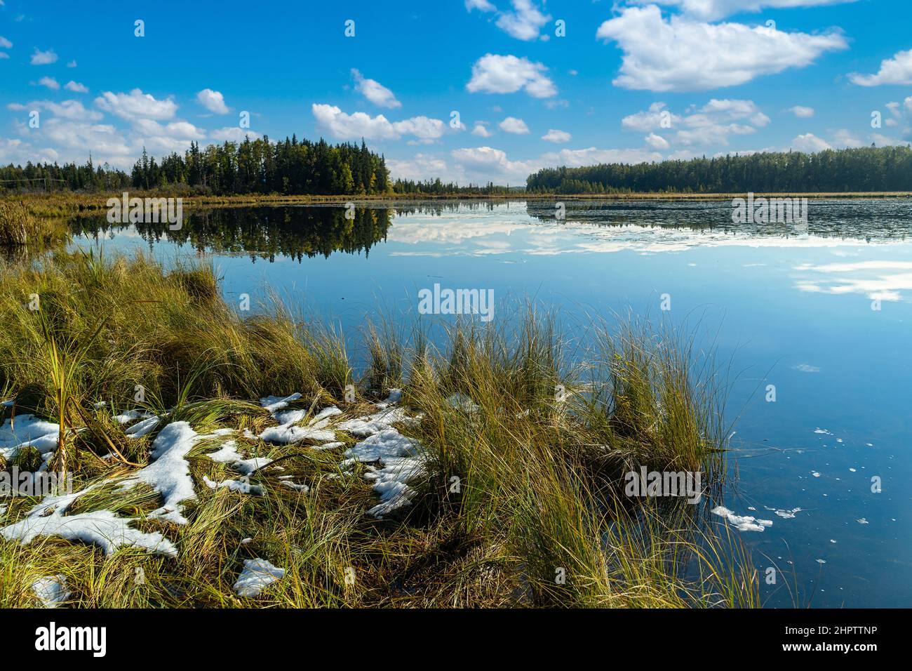 Vista desde una costa pantanosa de un lago de principios de invierno. Foto de stock