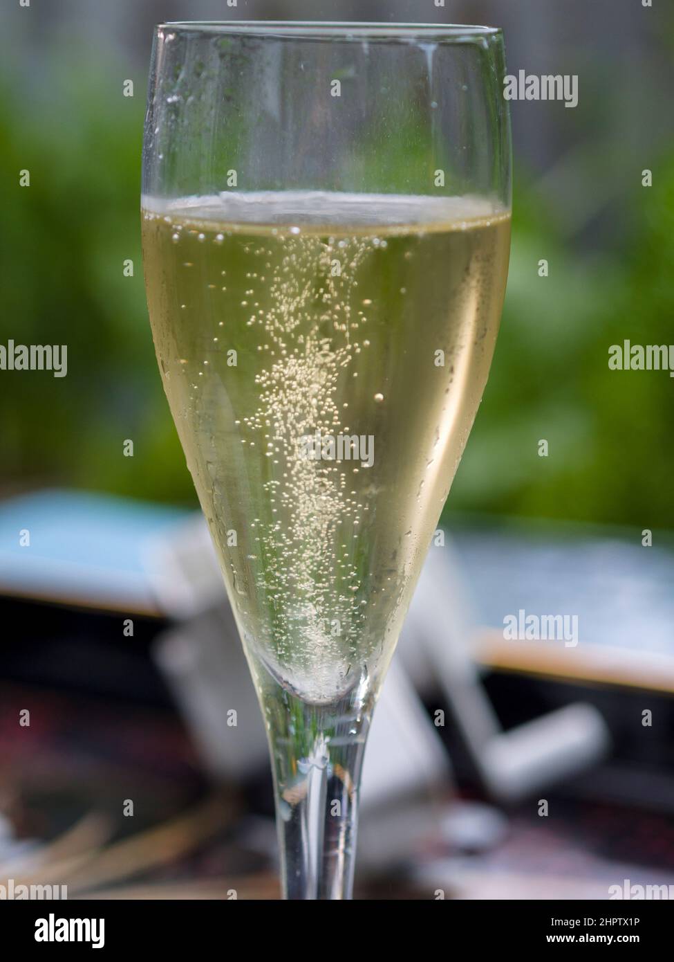Una copa de vino blanco espumoso: Las burbujas se elevan en una flauta de vino blanco espumoso de la región del Loira en Francia. Foto de stock