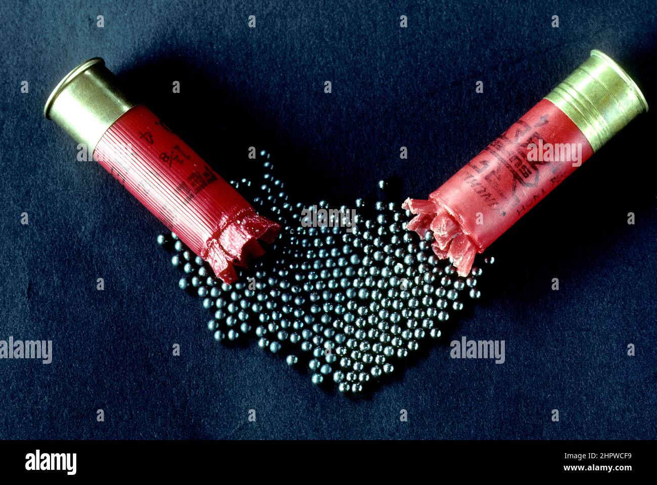 proyectiles de escopeta con inyección de acero no tóxico (izquierda) y inyección de plomo tóxico (derecha) Foto de stock