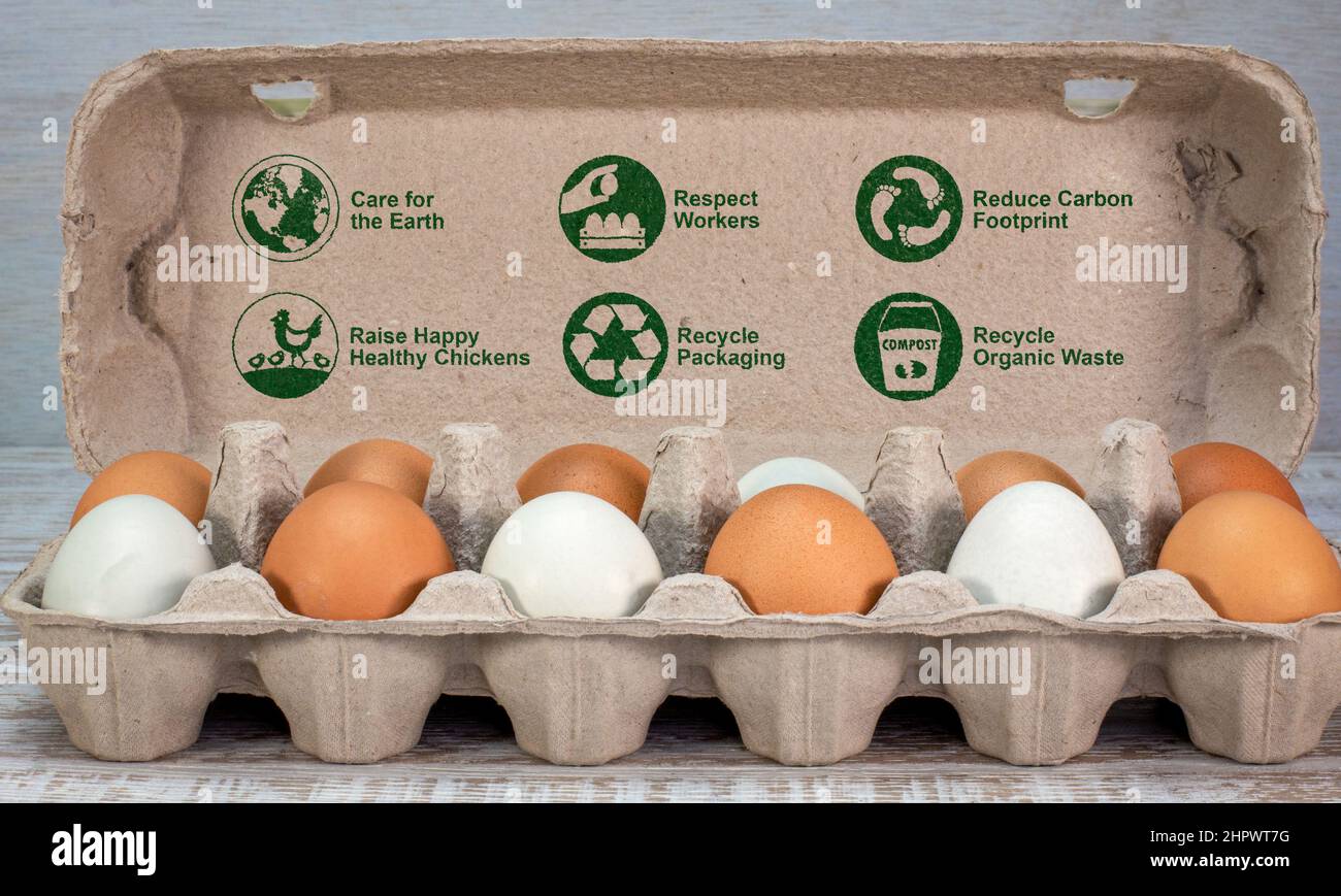 Etiquetas e iconos de alimentos sostenibles en la caja de huevos, información medioambiental y ética para el consumidor, cuidado de la tierra, respeto a los trabajadores, reciclaje, Foto de stock