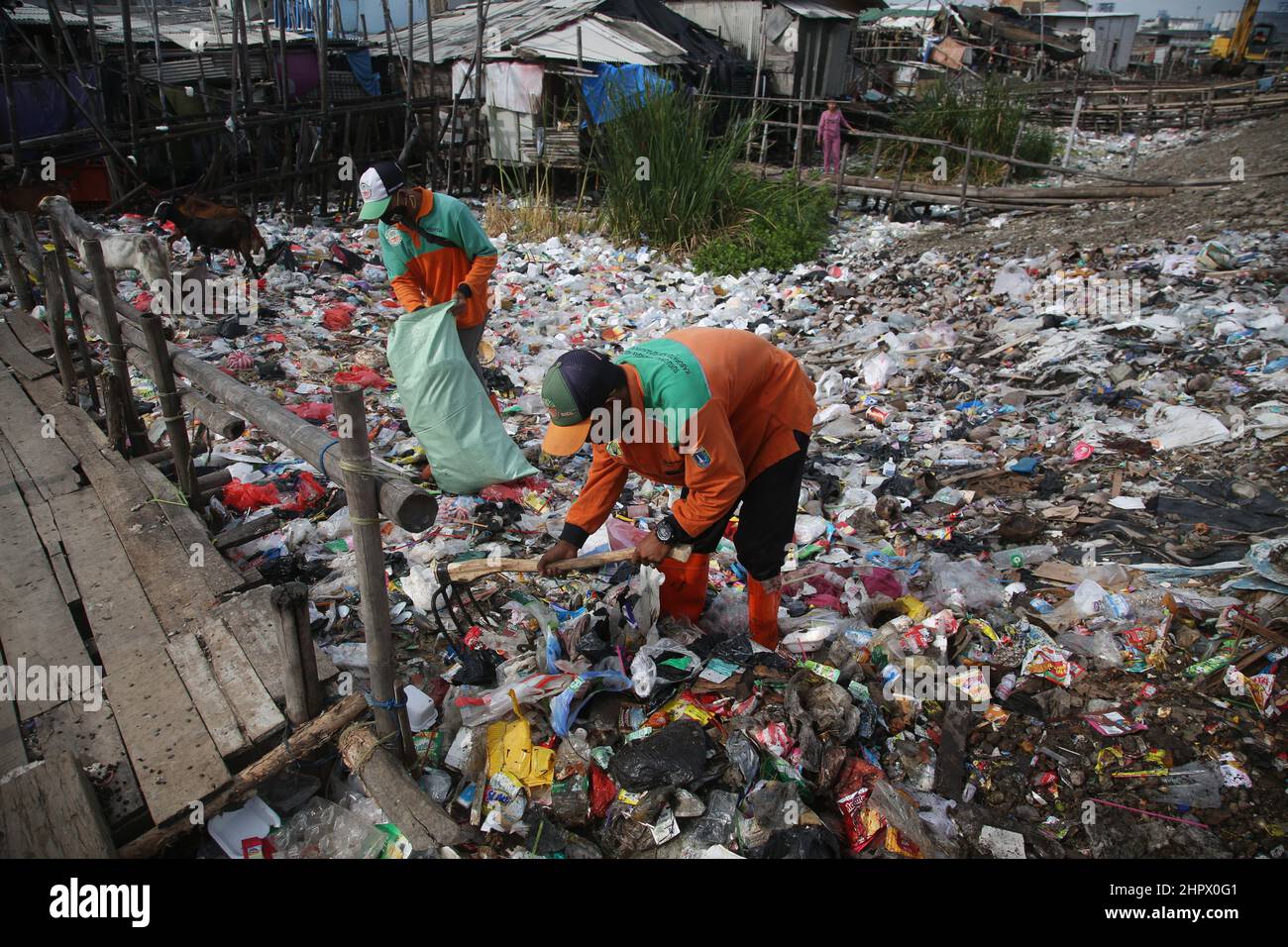 23 de febrero de 2022, Yakarta, Región Especial de la Capital de Yakarta, Indonesia: Varias casas en la zona de Kalibaru, Cilincing, Yakarta del Norte, Indonesia, están rodeadas de montones de basura. La pila de basura está dominada por los residuos domésticos, la mayoría de los cuales son residuos plásticos, que cubren la superficie del agua de mar y parecen un mar de basura y contaminan el medio ambiente en la zona. Esto se ve exacerbado por el número de residentes que todavía tiran basura alrededor del lugar. Cientos de limpiadores también asaltaron la basura en la aldea densamente poblada. (Imagen de crédito: © Kuncoro Widyo Rump Foto de stock