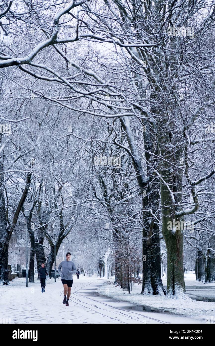 Edimburgo, Escocia, Reino Unido, 24th de febrero de 2022. Clima en el Reino Unido: Edimburgo se despierta con la nieve cayendo por la mañana. Personas corriendo en la nieve en el Meadows Crédito: Lorenzo Dalberto/Alamy Live News Foto de stock