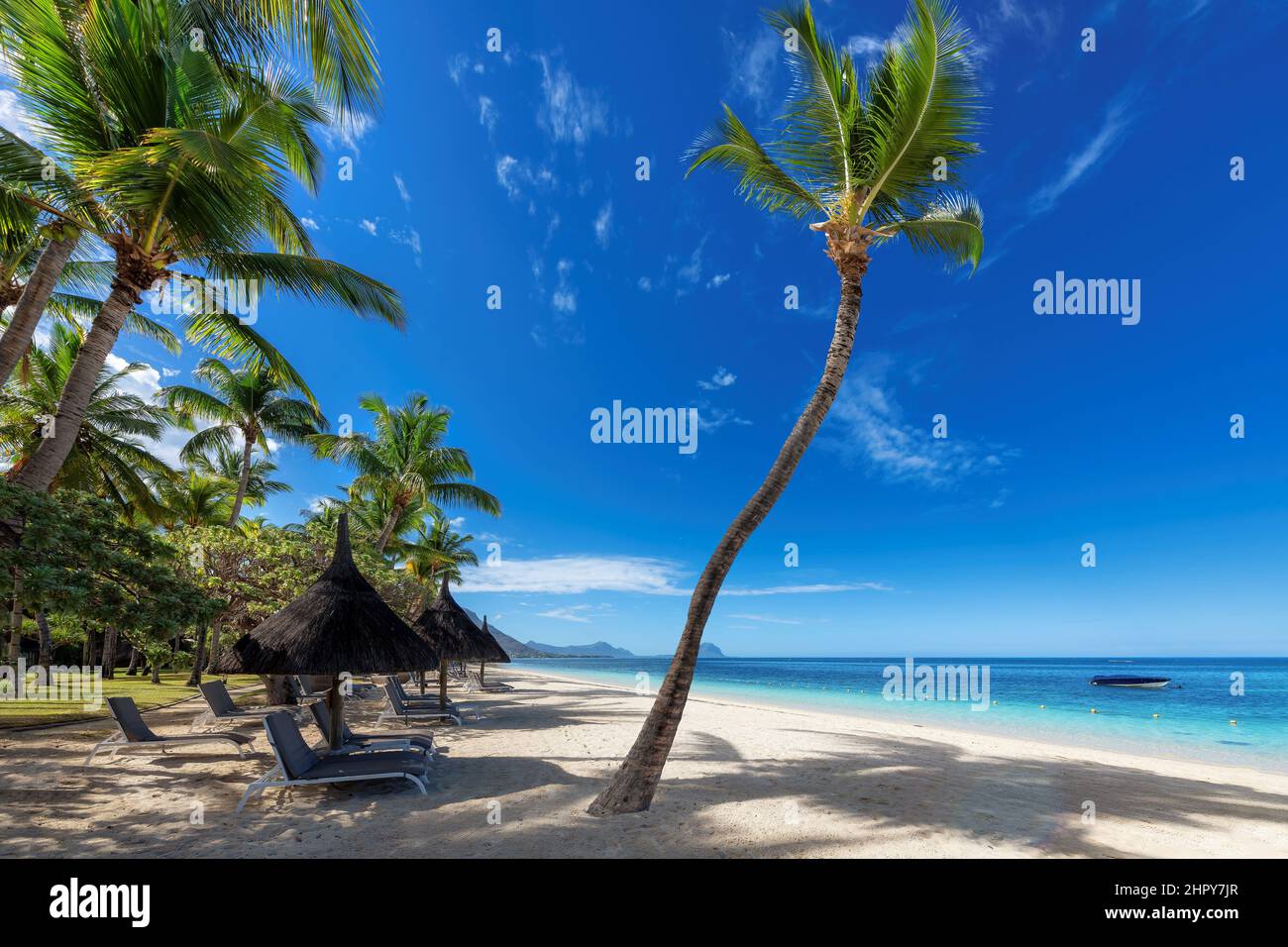 Palmeras en un soleado resort de playa tropical en la isla Mauricio. Foto de stock