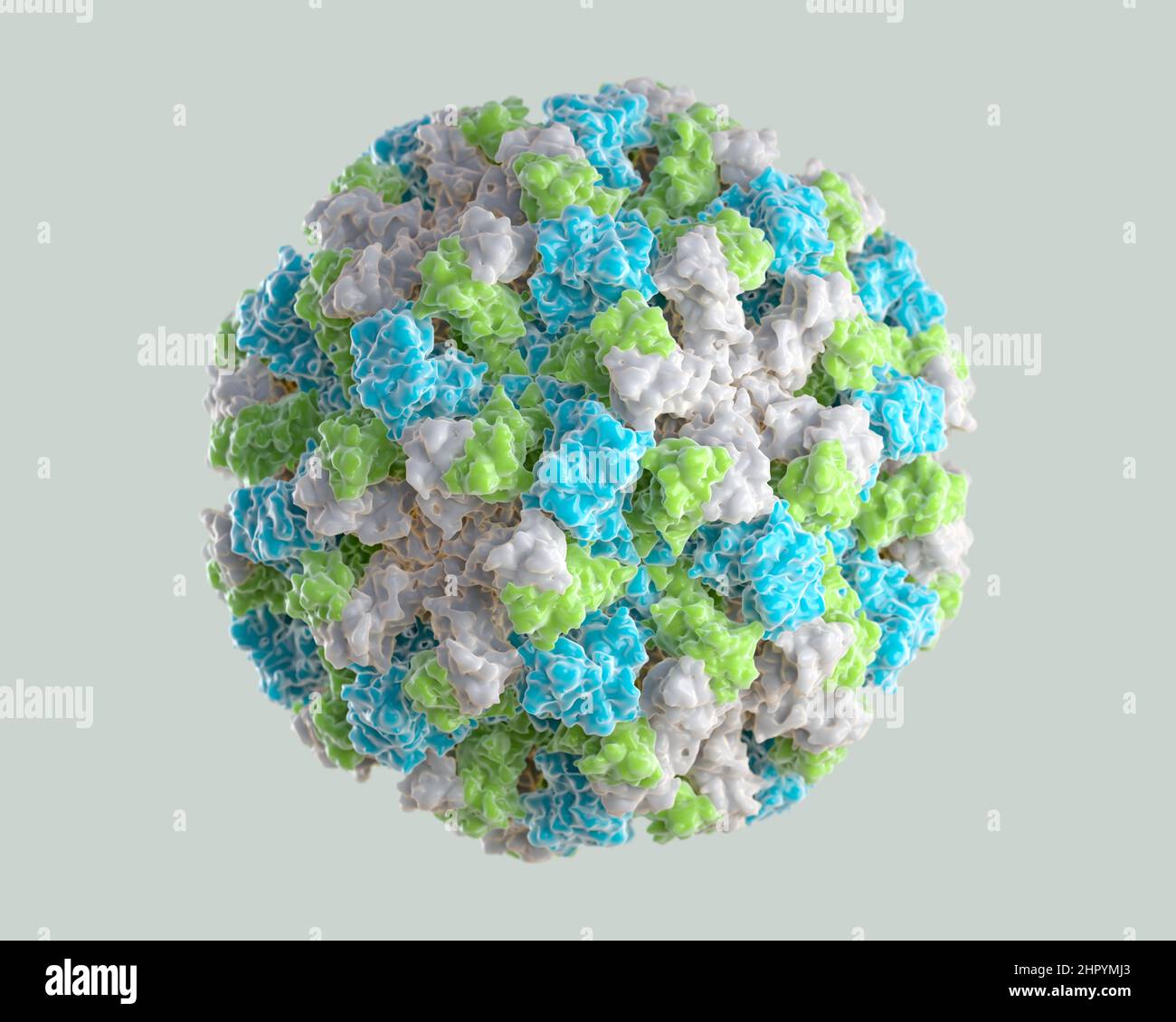 3D Representación gráfica de un solo virión norovirus. Los diferentes colores representan diferentes regiones de la capa proteica externa del organismo, o c Foto de stock