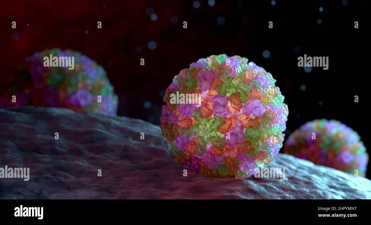3D Representación gráfica de un solo virión norovirus. Los diferentes colores representan diferentes regiones de la capa proteica externa del organismo, o c Foto de stock