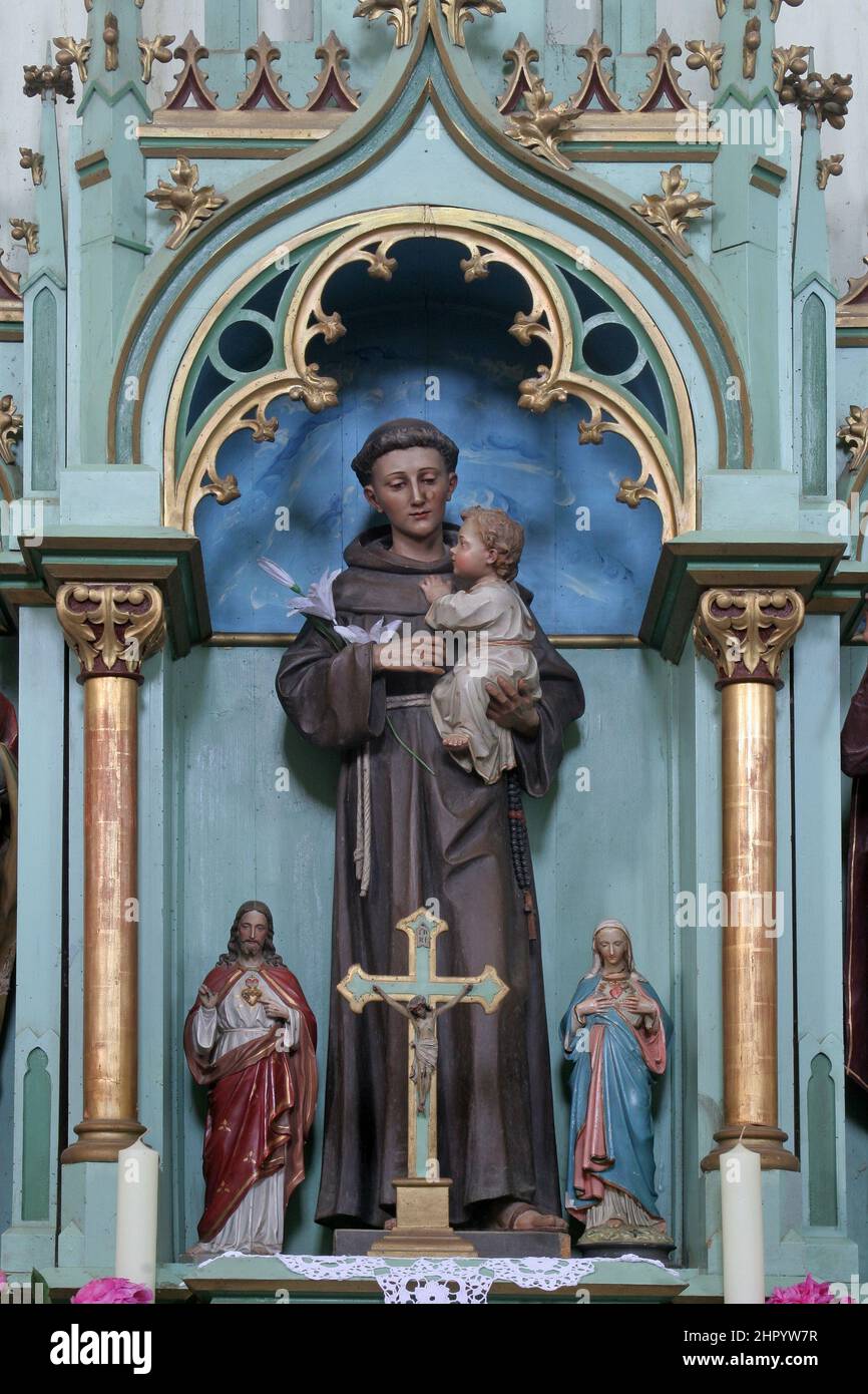 Altar de San Antonio de Padua en la iglesia parroquial de los Santos Simón y Judas en Ciglena, Croacia Foto de stock