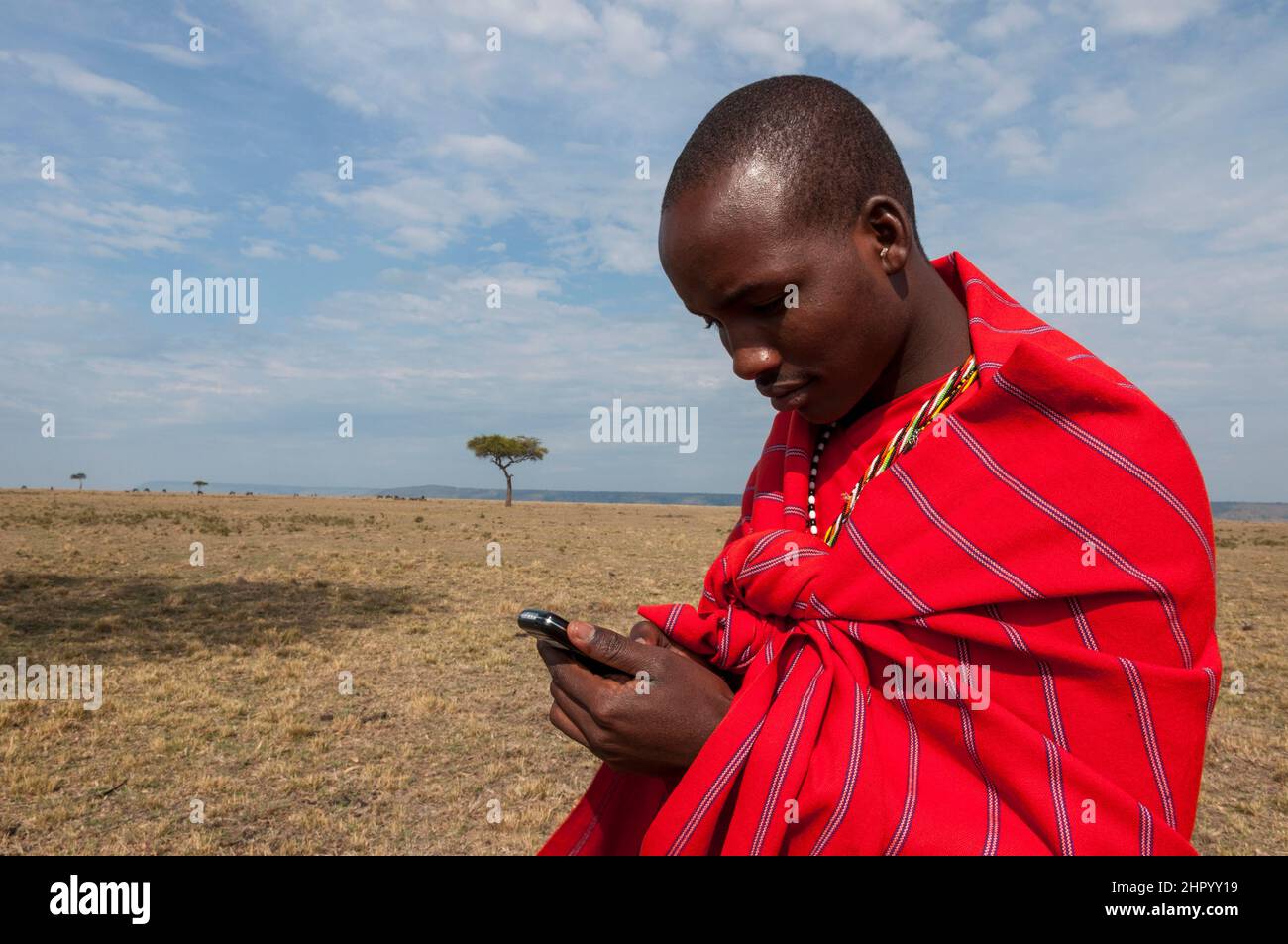 Un hombre masai escribiendo un mensaje en un dispositivo móvil. Reserva Nacional Masai Mara, Kenia. Foto de stock
