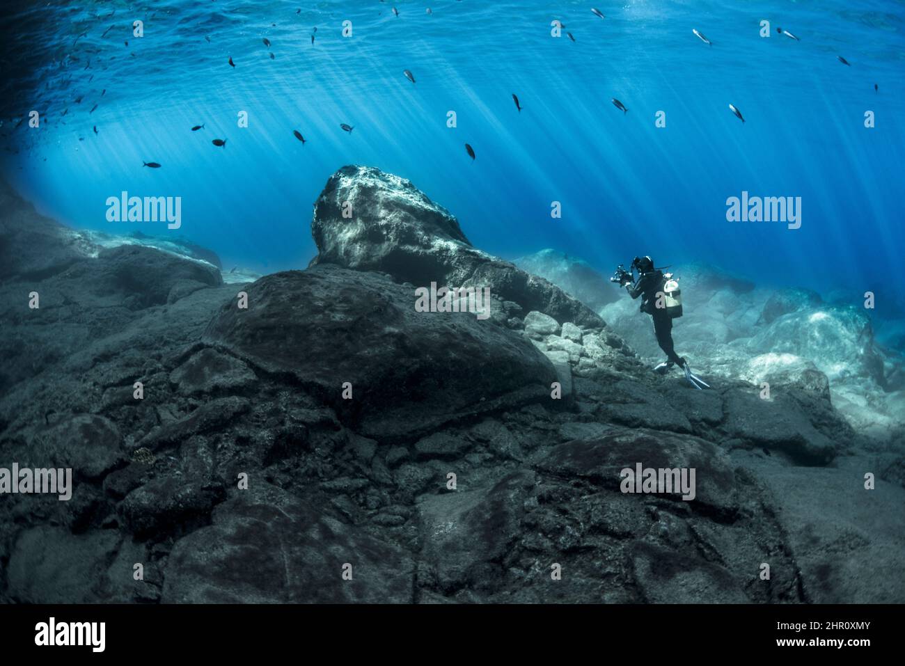 Sustrato rocoso, en los primeros metros por debajo de la superficie del océano. Fondos submarinos volcánicos. La Gomera, Islas Canarias. Foto de stock