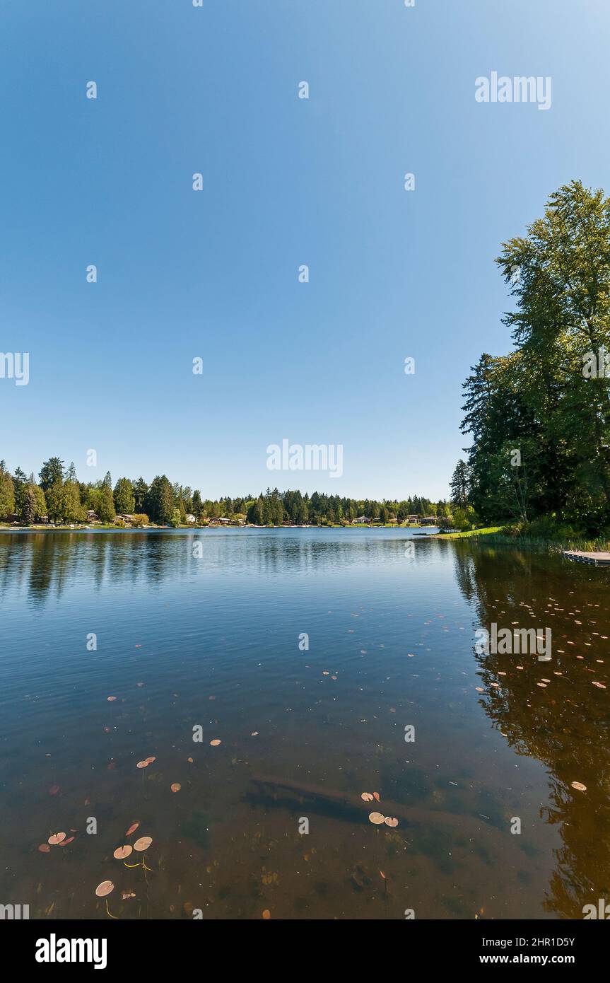 Humedales en el área del Lago Panther de Kent, Washington. Foto de stock