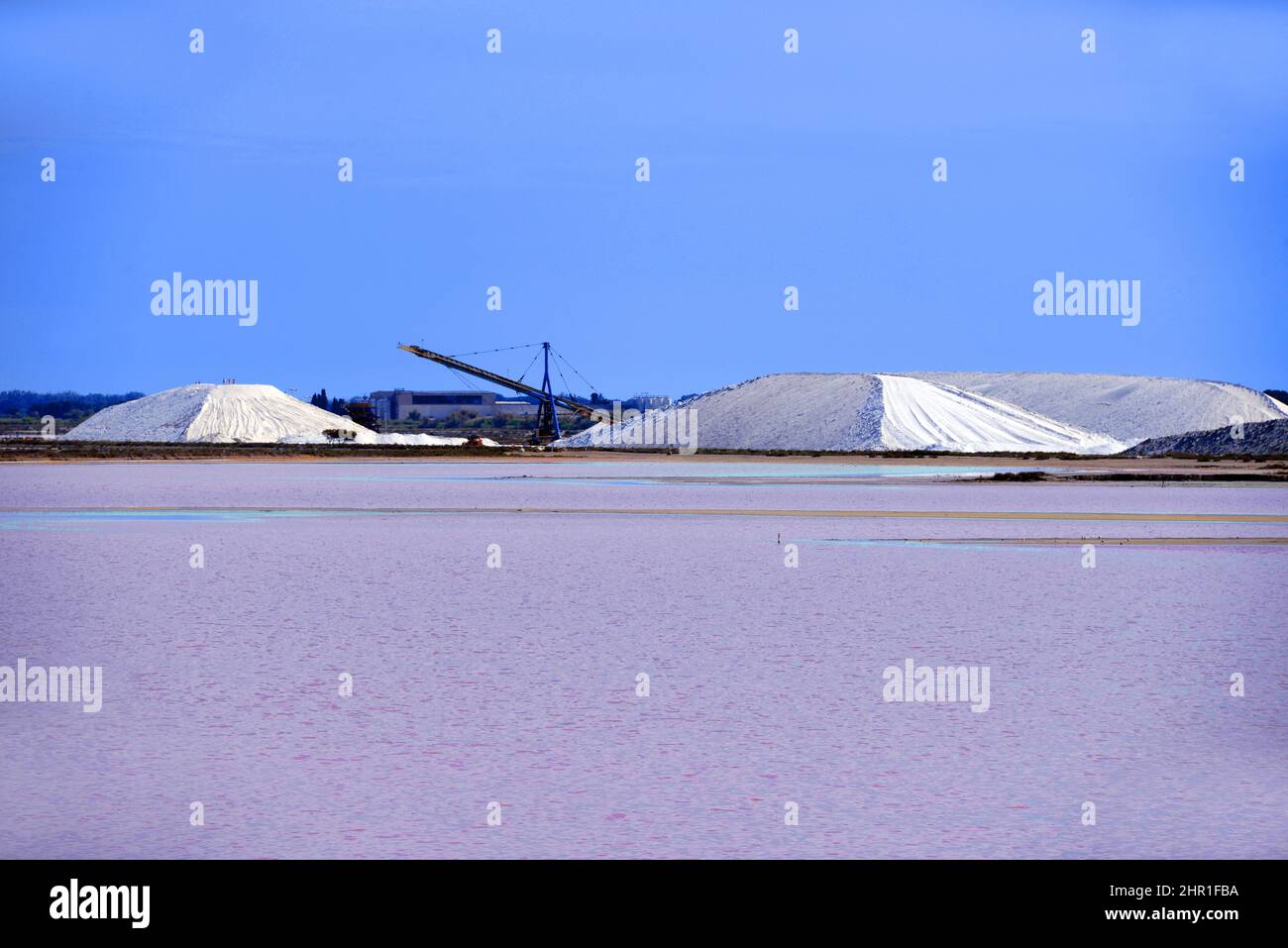 Petite Camargue, producción de sal marina cerca de Aigues Mortes , Francia, Aigues Mortes Foto de stock