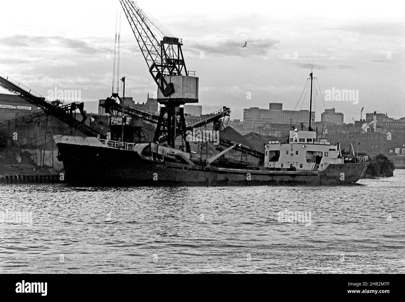 TIRO 206 Embarque cargando carbón desde un staithes en el lado Gateshead del río Tyne frente al muelle de Newcastle alrededor de 1969 Foto de stock