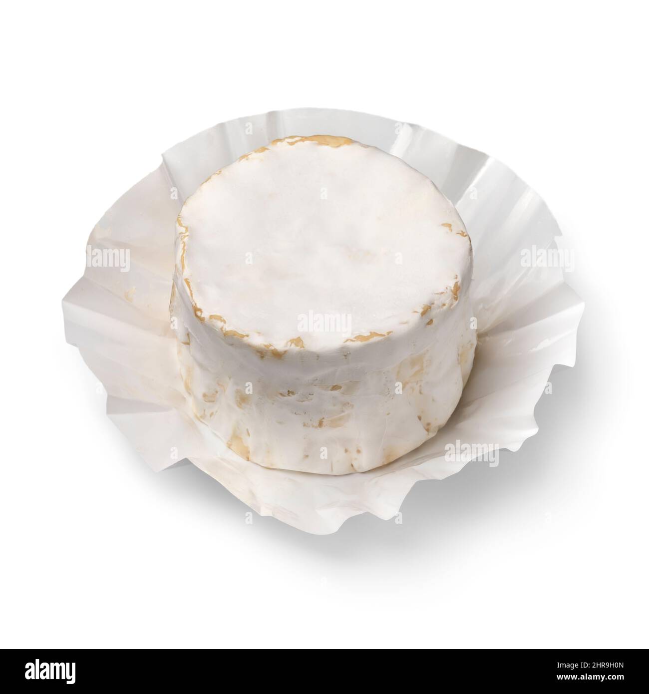 Queso de cabra francés relleno de trufa aislado sobre fondo blanco Foto de stock