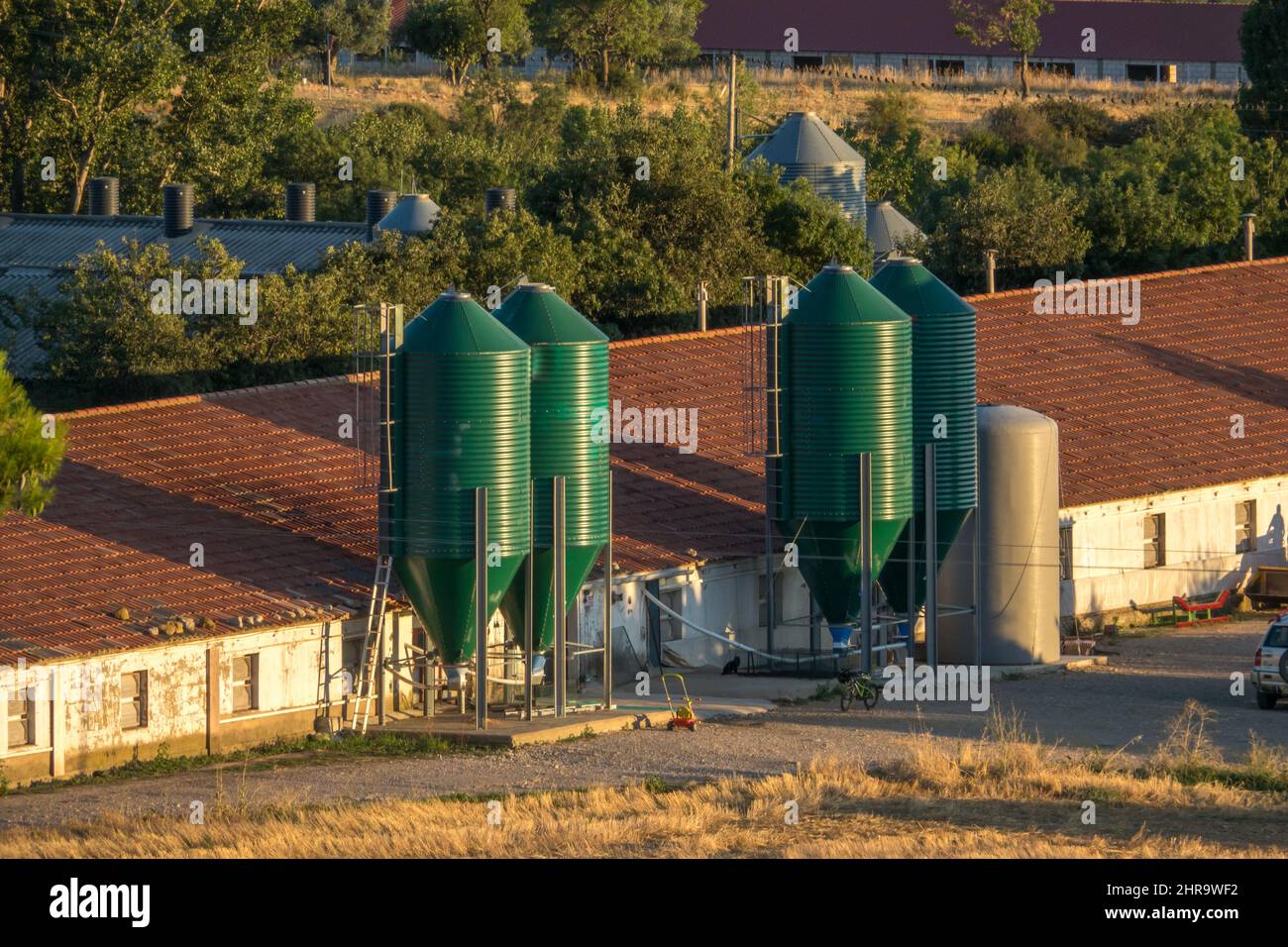 Fuera de los edificios y cobertizo en una pequeña granja de pollos moderna casa de aves de corral que muestra los contenedores de alimentación en España Foto de stock