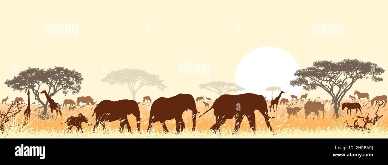 Siluetas de animales salvajes de la sabana africana, sobre el fondo de los árboles y el sol. Ilustración del Vector