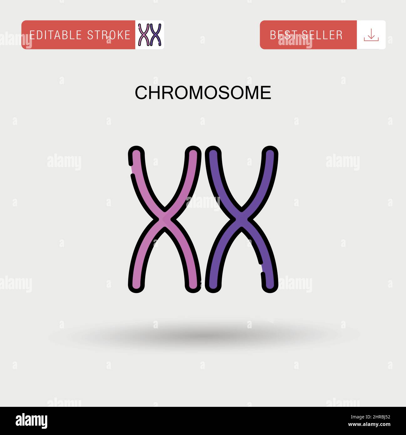 Icono de vector simple de cromosoma. Ilustración del Vector