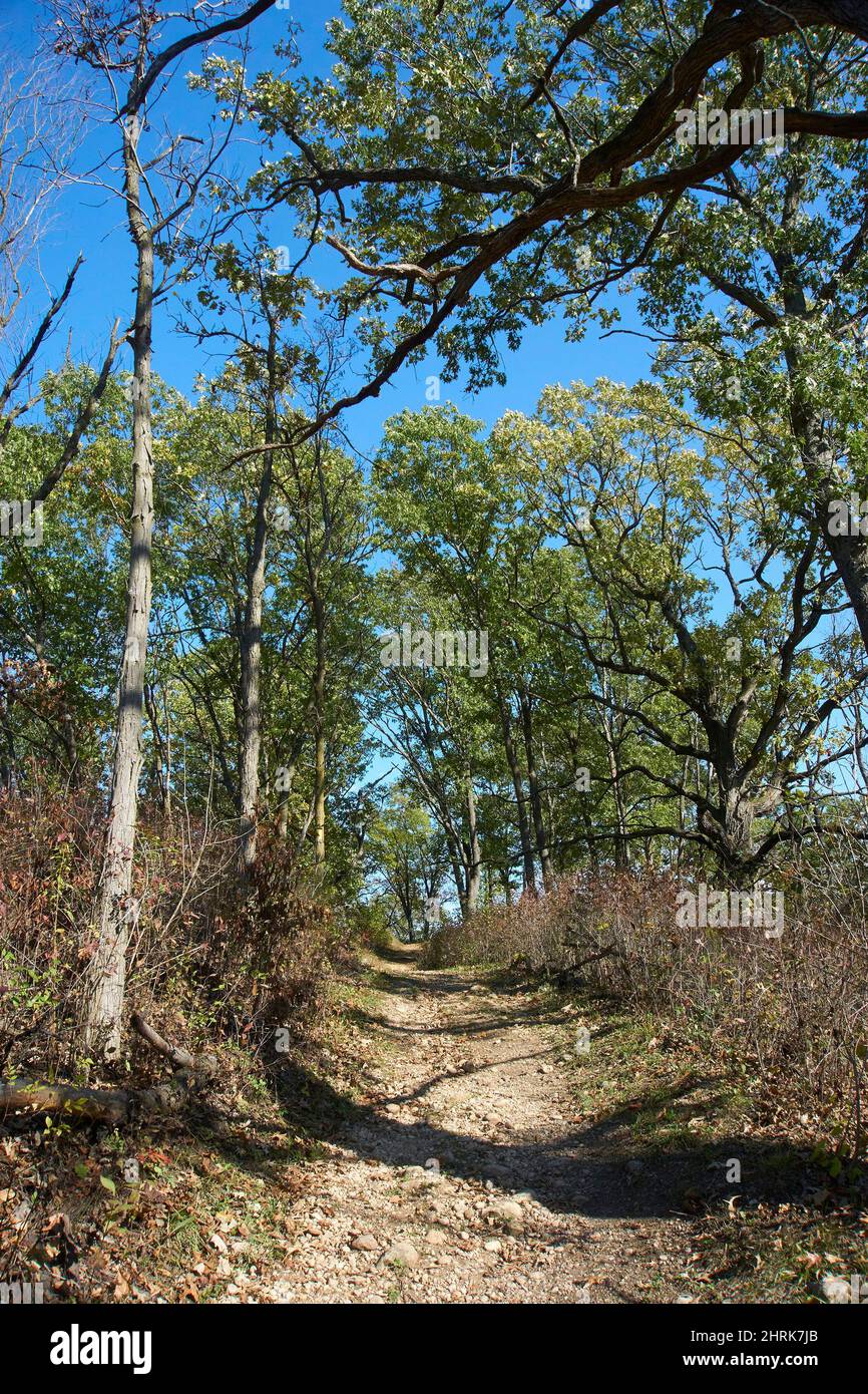 Kettle Moraine State park Southern Unit Fotografía de stock Alamy