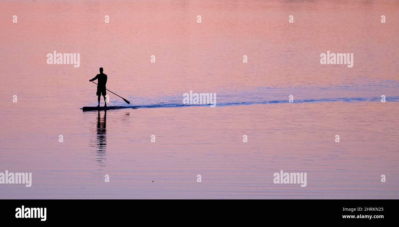 Un hombre rema un tablero de remo de pie hacia la orilla en el río Ottawa Martes 8 de octubre de 2019 en Ottawa. LA PRENSA CANADIENSE/Adrian Wyld Foto de stock