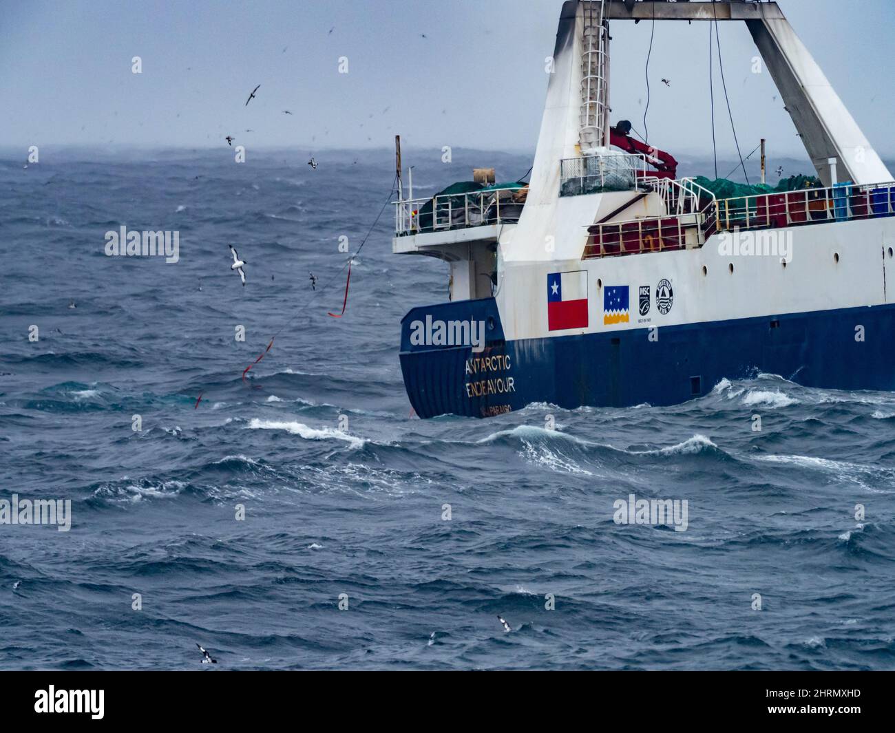 Un barco de pesca de krill que captura krill en las Islas Orkney del Sur, Antártida Foto de stock