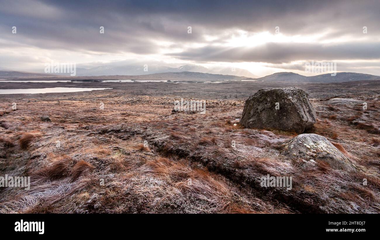 Gran erráticos stand en el vasto paisaje de humedales de morrenas glaciales de Rannoch Moor bajo las montañas de las Tierras Altas de Escocia. Foto de stock