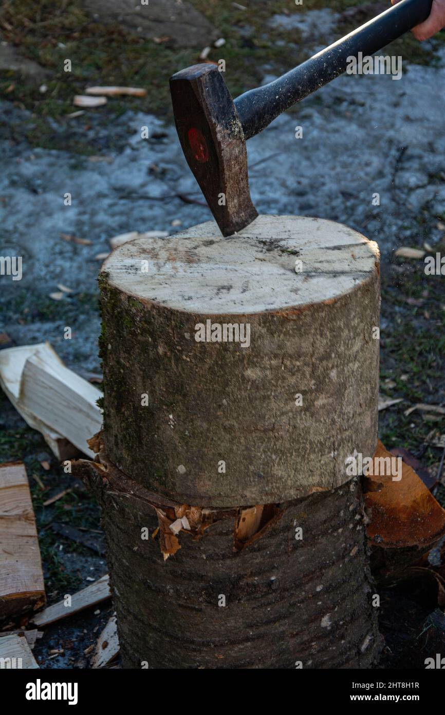 Mano masculina con hacha pequeña. Cortar madera de abedul en camping para  hoguera Fotografía de stock - Alamy