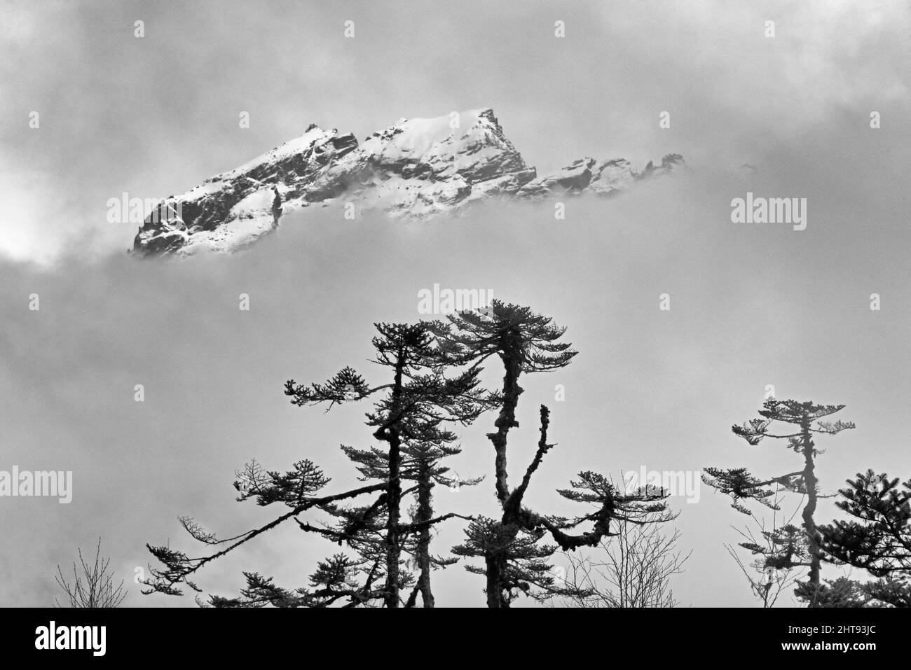 Montaña cubierta de niebla, Lachung, Sikkim, India Foto de stock