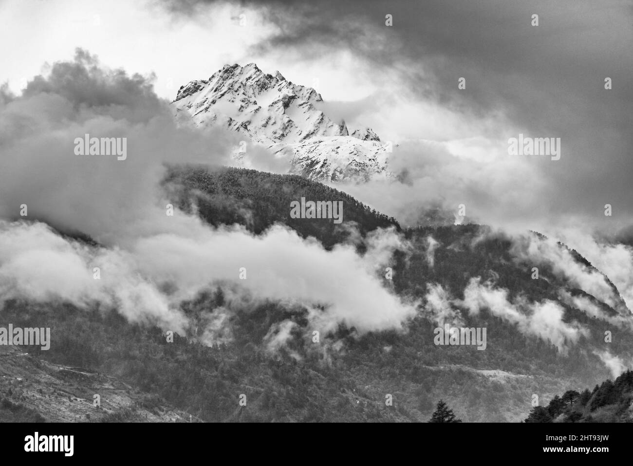 Montaña cubierta de niebla, Lachung, Sikkim, India Foto de stock