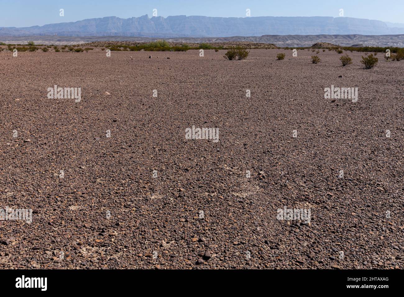 Pavimento del desierto en el Desierto Chihuahua de Texas. Foto de stock