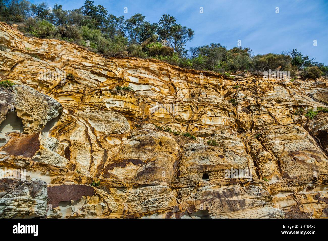 Acantilado de piedra arenisca Hawkesbury en Bouddi Point, Maitland Bay, Parque Nacional Bouddi, Costa Central, Nueva Gales del Sur, Australia Foto de stock