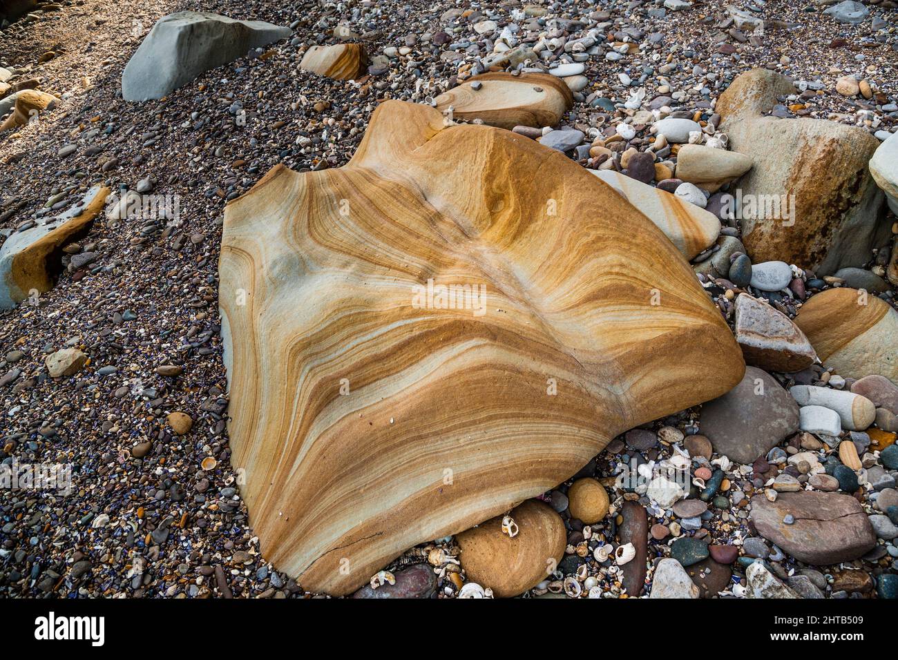 boulder de arenisca sedimentaria en el cabo de la bahía de Maitland Point Bouddi con patrones artísticos de color. Este tipo de arenisca es del Fo Terrigal Foto de stock