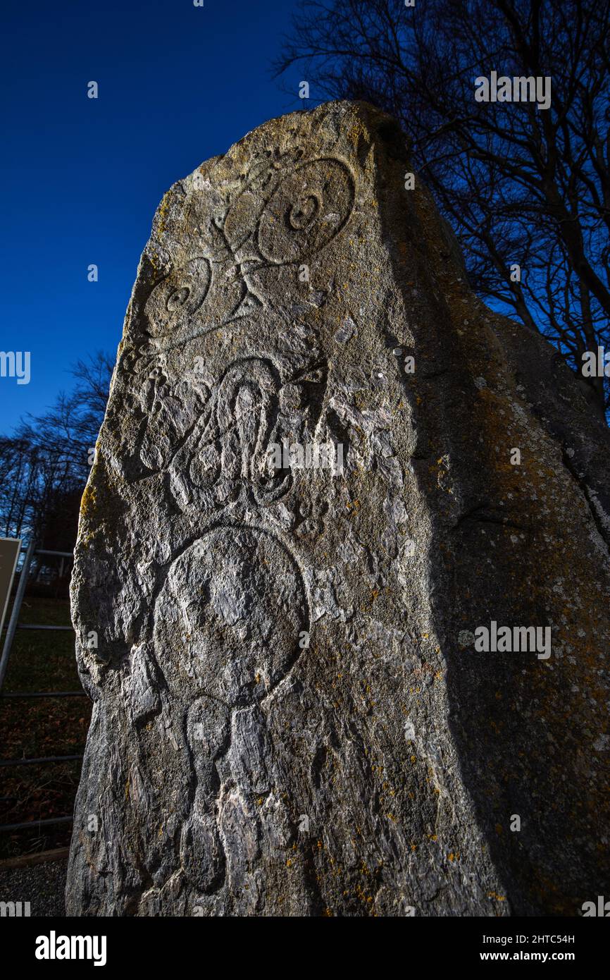 La piedra de Picardía, una piedra de símbolo picche tallada cerca de Insch en Aberdeenshire, Escocia Foto de stock