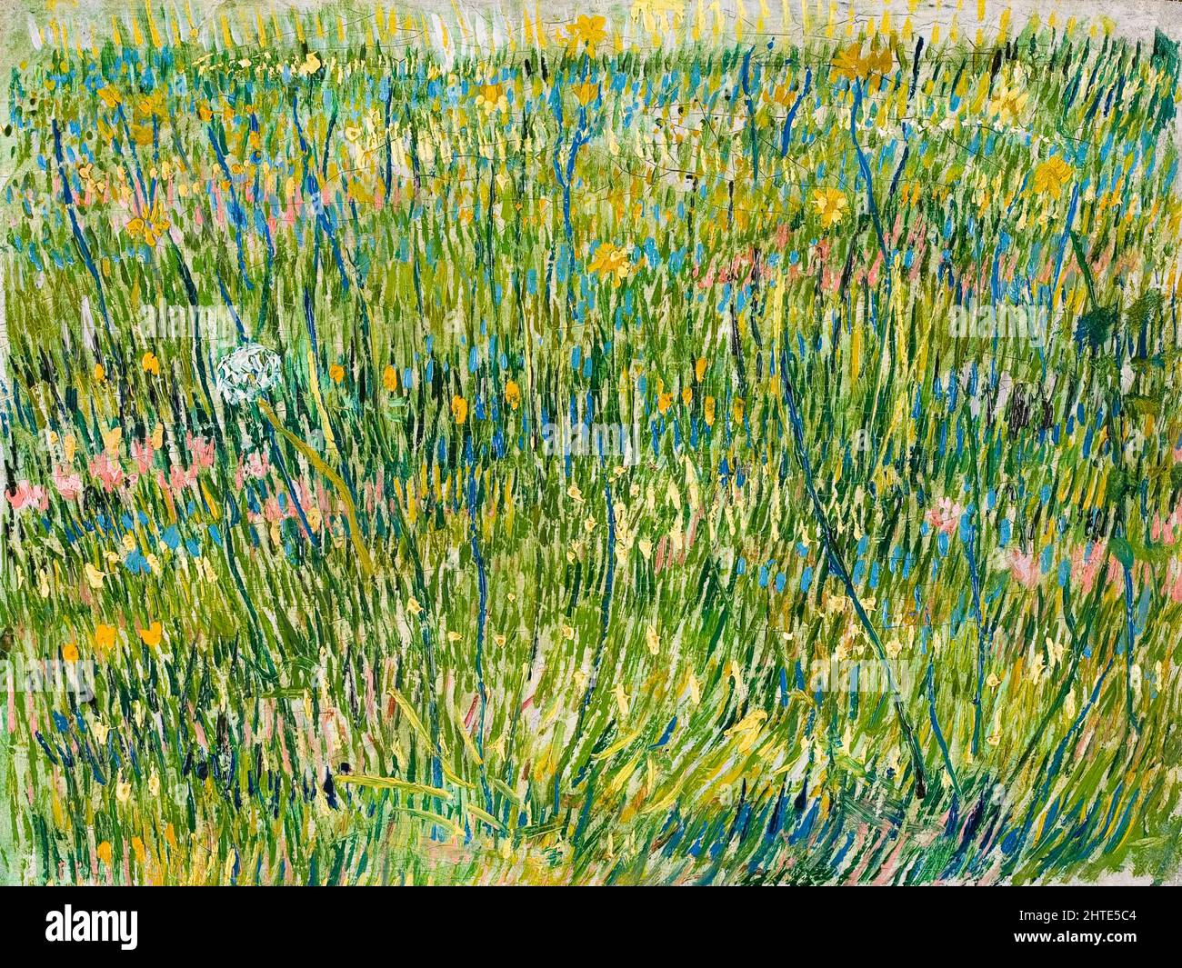 Vincent van Gogh, parche de hierba, pintura, óleo sobre lienzo, 1887 Foto de stock