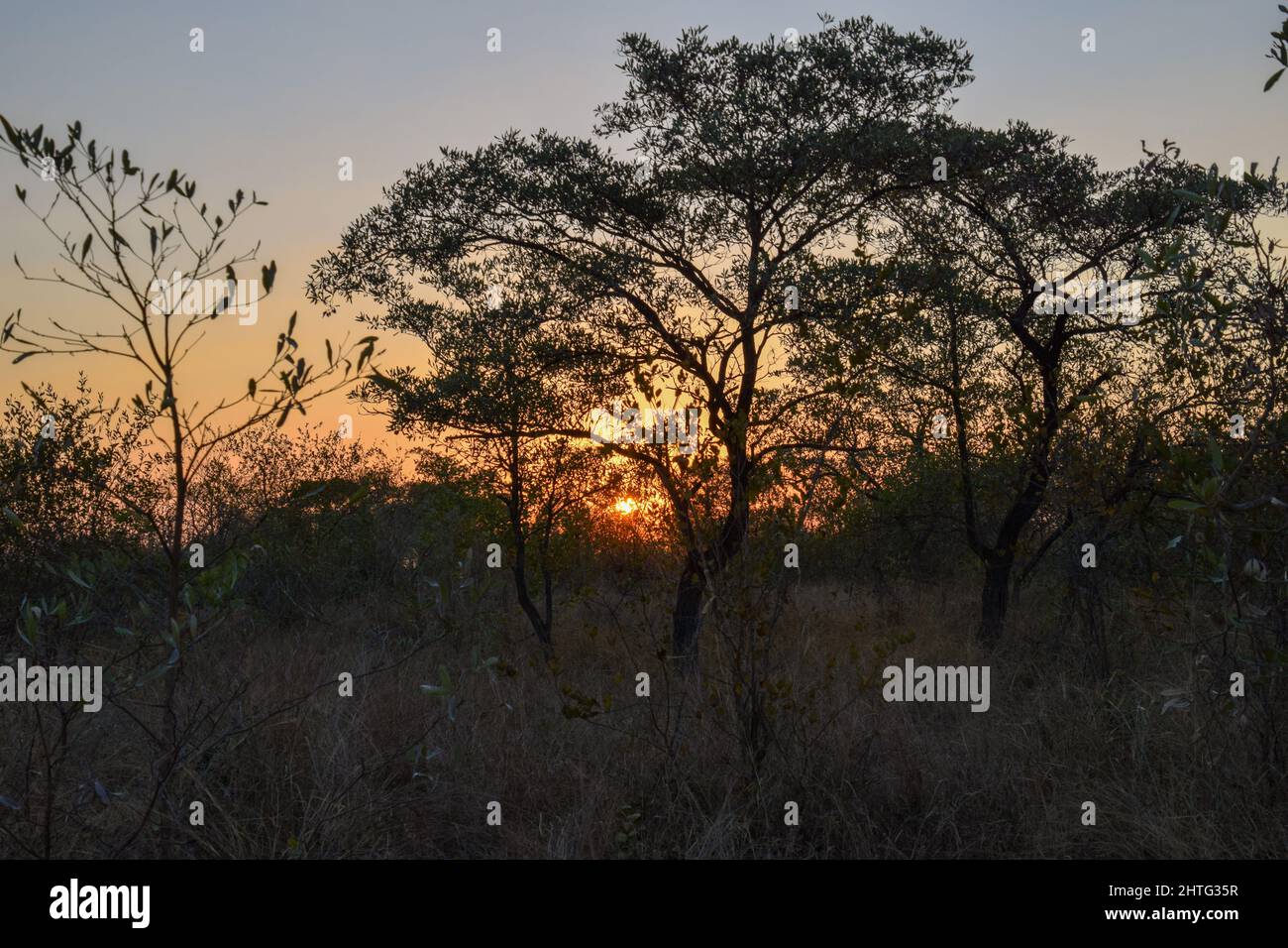 Amanecer en el Parque Nacional Kruger Foto de stock