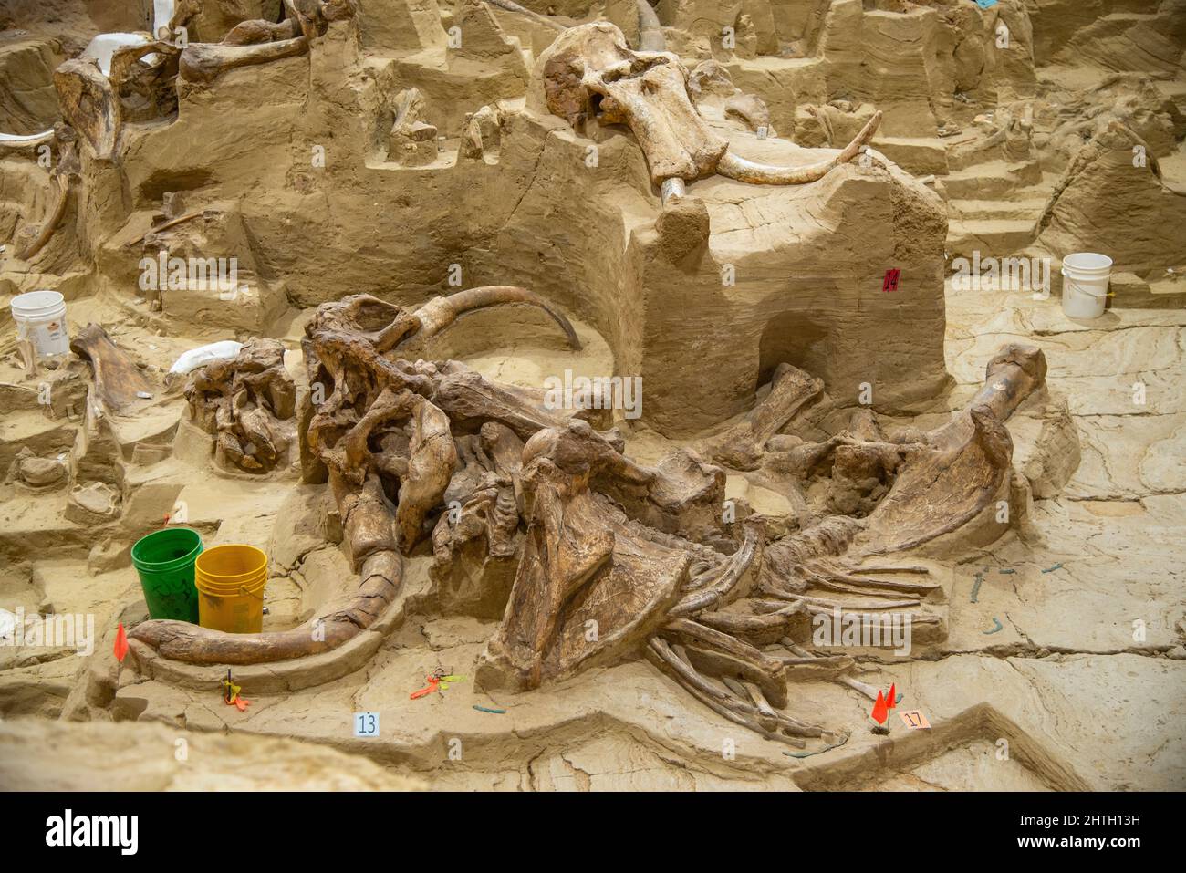 Sitio de excavación activo y museo que contiene un agujero de fregadero que data de la era Pleistocene que contaba huesos fósiles de mamuts en Hot Springs, Dakota del Sur Foto de stock