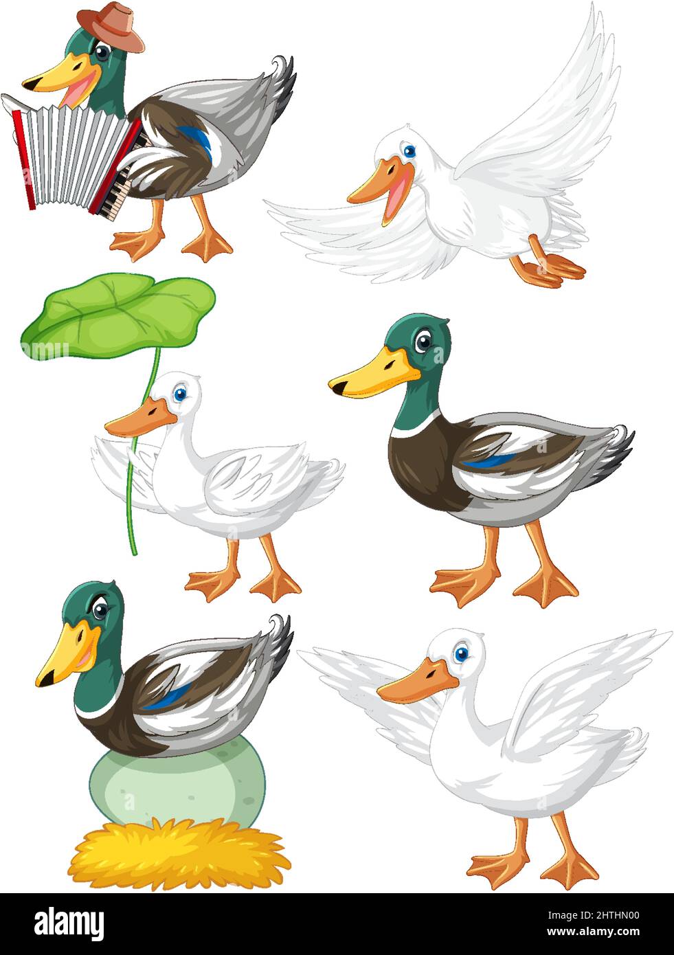 Juego de diferentes poses de patos dibujos animados personajes ...