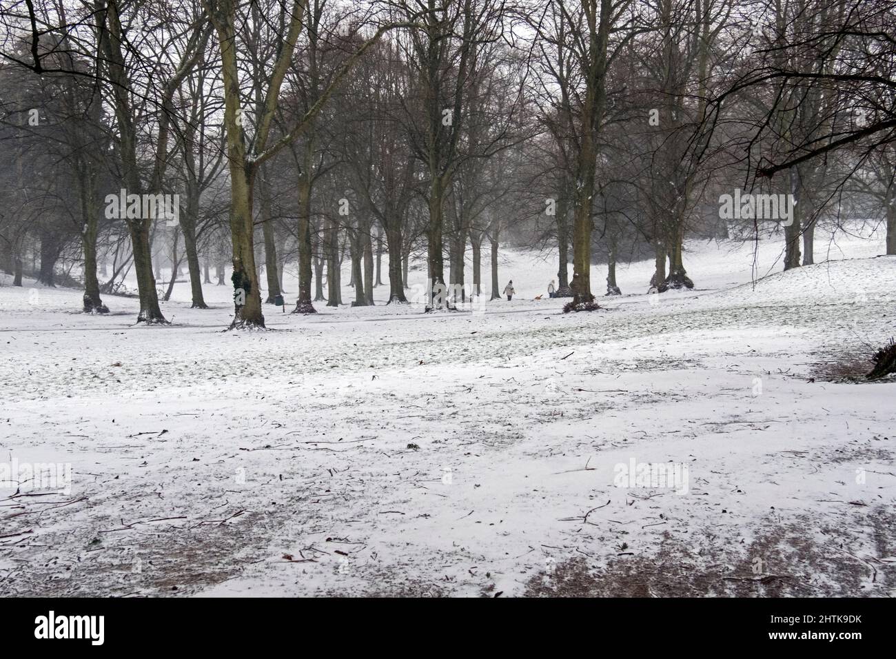 La nieve cae en Ashcombe Park en Weston-super-Mare, Reino Unido, el 1 de marzo de 2018 durante la tormenta llamada “La Bestia del Este” Foto de stock
