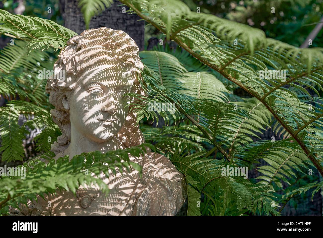 Busto de Isabel de Baviera, coronado como la emperatriz de Austria, apodado 'Sissi', Jardín Botánico, Huerto del Cura, Elche, España, Foto de stock