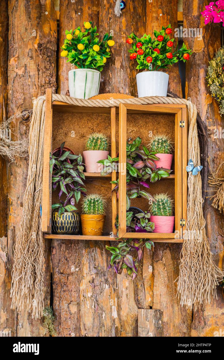 Arreglo floral en una ventana decorativa de madera macetas con flores y  cactuses se encuentran. Ventana de la tienda de flores Fotografía de stock  - Alamy