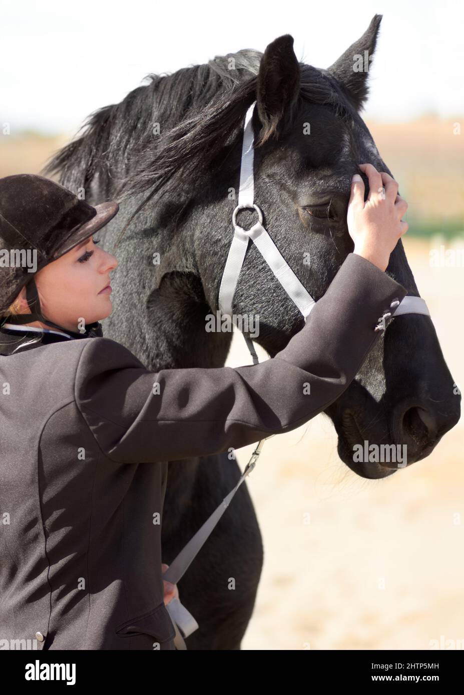 Preparándose para un largo viaje. Tiro de una jovencida jinete acariciando la cara de sus caballos. Foto de stock