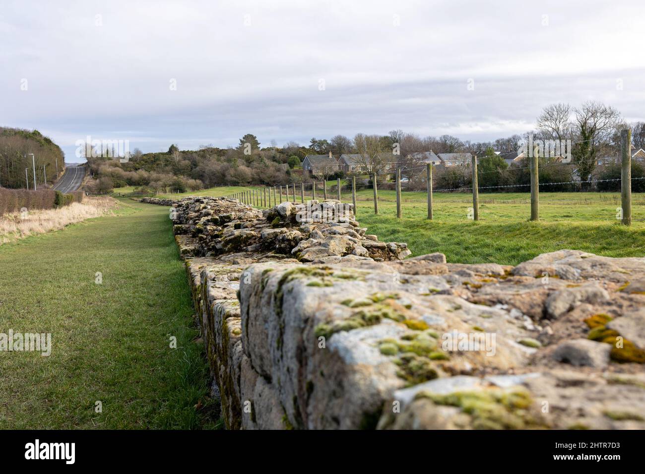 Heddon on the Wall, England: 8th Feb 2022: Hadrian Wall (no hay gente) en el noreste de Inglaterra en un soleado día de invierno Foto de stock