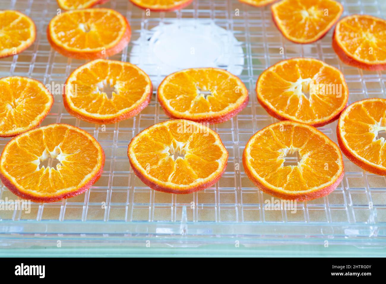 Rodajas de naranja confitada secas en un deshidratador. Foto de stock