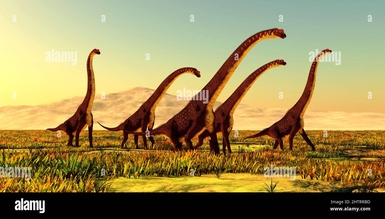 Una manada de dinosaurios de Girafbatitan viaja a través de una llanura verde en África durante el período Jurásico. Foto de stock